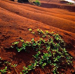 《妮姬：胜利女神》表现强劲 年收入有望超过10亿美元